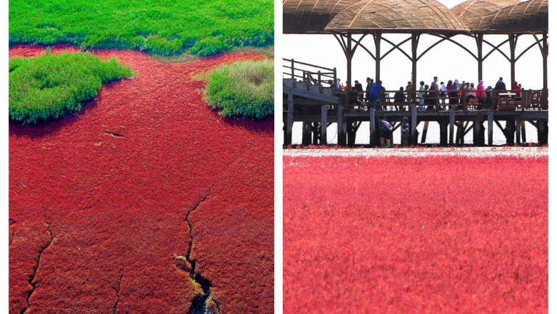  Oamenii sunt fascinați de Plaja Roșie, unul dintre cele mai pitorești locuri de pe Pământ