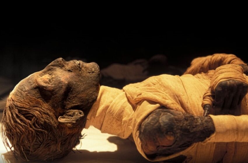  (foto) Mumiile regale din Egiptul Antic vor fi scoase pentru prima dată pe străzile din Cairo. Egiptenii se tem deja de „blestemul faraonilor”