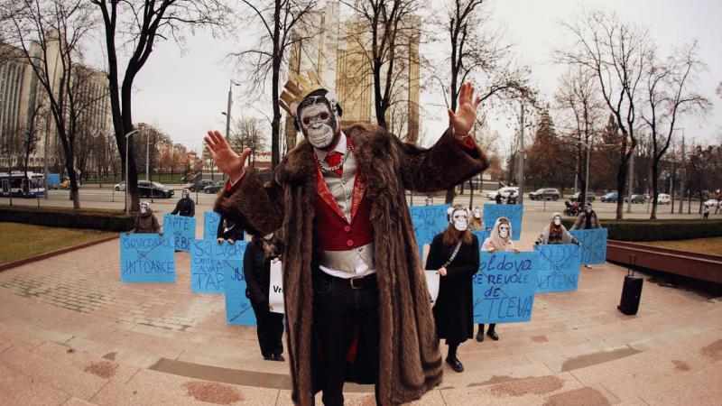  Maimuțele promit – cer o altfel de politică. Mai mulți tineri mascați au protestat în fața Parlamentului