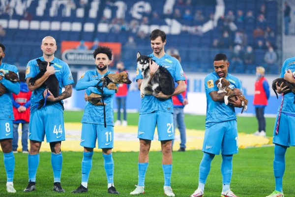 (VIDEO/FOTO) Fotbaliștii de la Zenit din Sankt Petersburg au ieșit pe teren, cu câte un cățeluș: „Câinilor le este mai bine acasă”