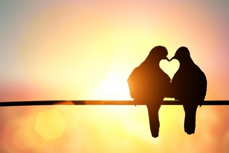  Dragobetele, sărbătorit pe 24 februarie: De unde provine și ce semnificație are ziua iubirii