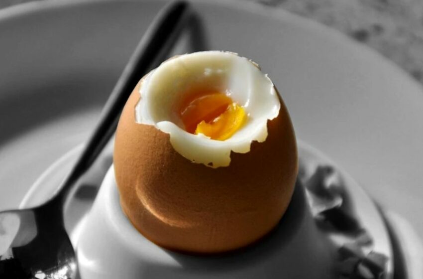  Ce efecte are consumul de ou fiert pentru organism. Valorile nutriţionale în funcţie de timpul de gătire