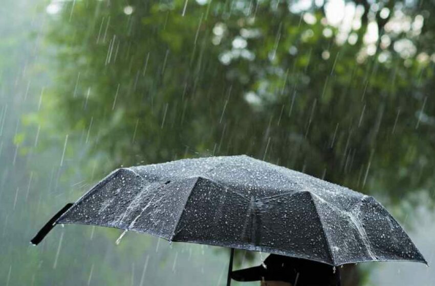  Avertizare meteorologică: Cod Galben de vânt, lapoviță și ploi puternice