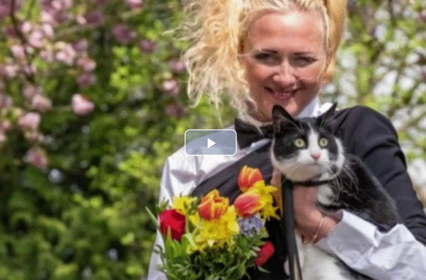  O femeie din Londra s-a căsătorit cu pisica ei, ca să poată sta în chirie. Proprietarii nu acceptau animale în casă