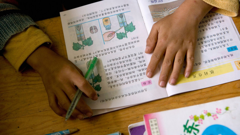  Imagini „rasiste, sugestive sexual și pro-Americane” apărute în manualele școlare: Au provocat furie în China