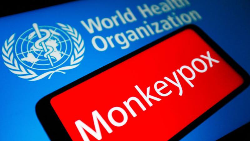  Variola maimuței a fost depistată în 11 țări. Ședință de urgență a OMS, răspândirea pe glob provoacă îngrijorare