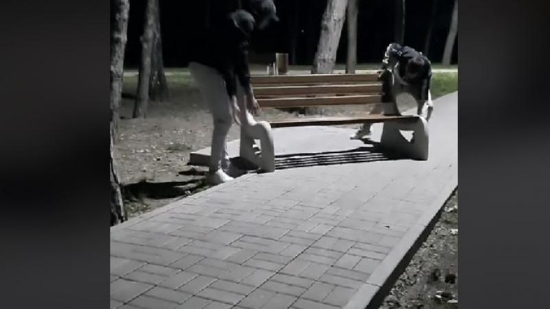  (video) „Trage-l, că mă doare spatele!” Mai mulți tineri s-au filmat cum distrug o bancă într-un parc și se amuză