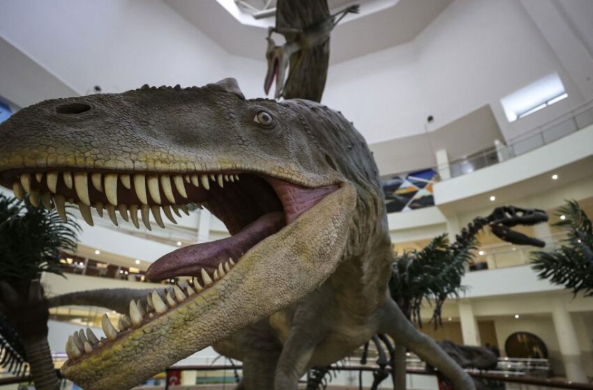  Schelet de dinozaur, vândut pentru suma de peste 12 milioane de dolari