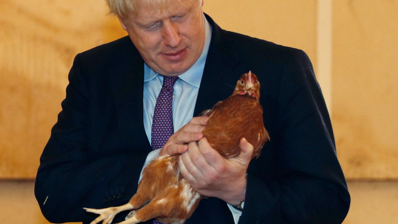  „Boris Goneson”. Internetul a fost inundat de meme cu premierul britanic după anunțul că-și dă demisia