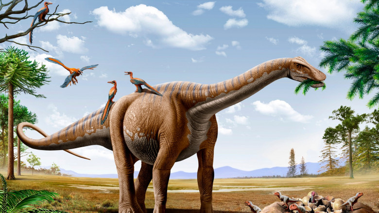  Lucrul cel mai puțin cunoscut despre dinozauri: cum se curtau și cum făceau sex. Trăsăturile excentrice care ar putea elucida misterul