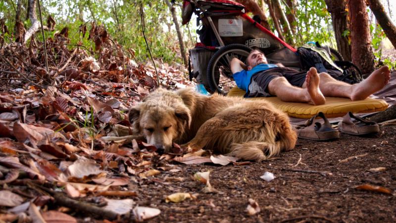 (video) Povestea unui bărbat și a câinelui său care, timp de 7 ani, au făcut înconjurul lumii pe jos