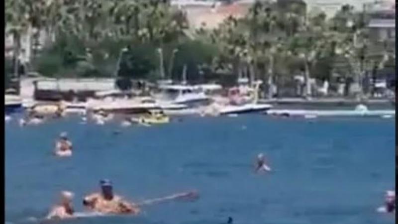  (video) În Turcia, un bărbat a alungat un „rechin” de pe o plajă aglomerată, lovindu-l cu un mop