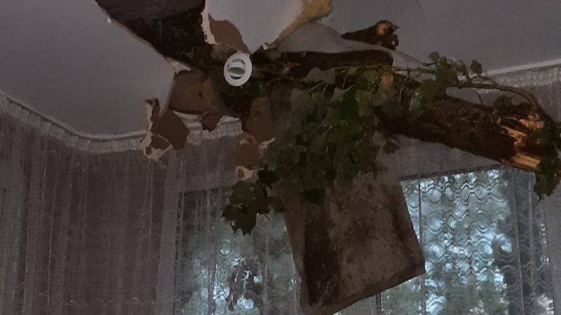 (video) S-a trezit cu un copac în casă: Tavanul unei locuințe din capitală, distrus de o creangă enormă, după furtuna de ieri