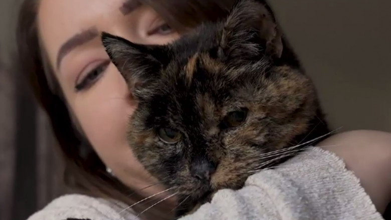  (video) Cea mai bătrână pisică din lume, în Cartea Recordurilor. Ar avea echivalentul a 120 de ani la oameni