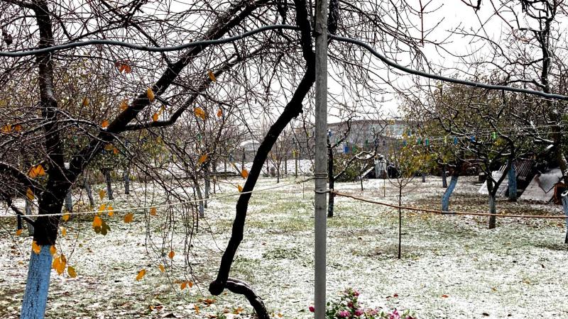  (foto/video) A nins la nord: Imagini cu primii fulgi din acest sezon, căzuți în Moldova