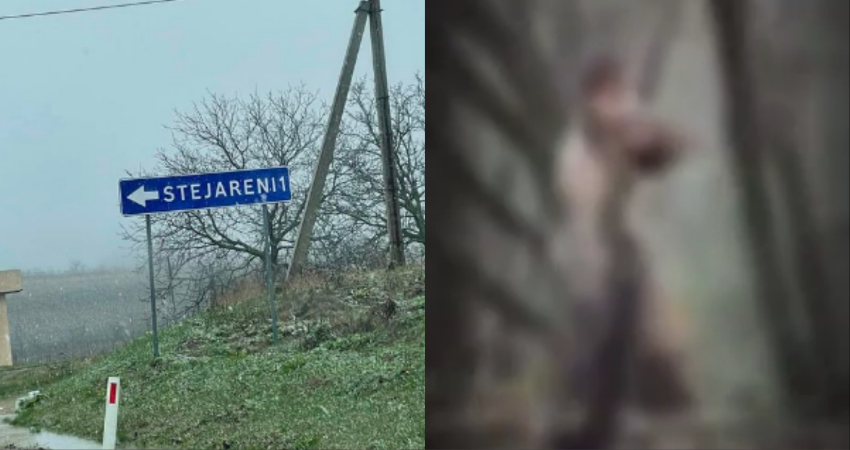  (video +18) Imagini sfâșietoare cu un ciobănesc german, spânzurat pe marginea drumului: Martorii caută urmele răufăcătorilor