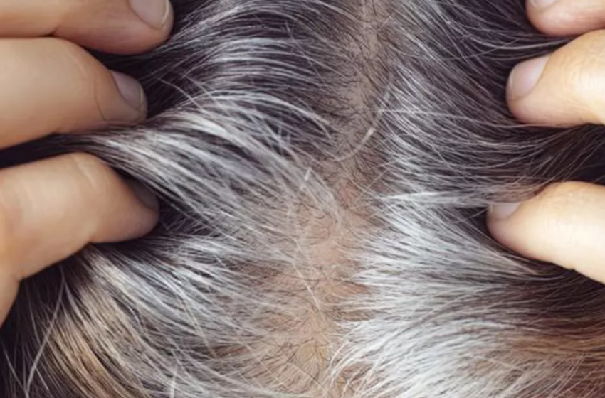  Albirea părului poate fi oprită. Descoperirea făcută recent de oamenii de știință răstoarnă tot ce se știa până acum despre îmbătrânire