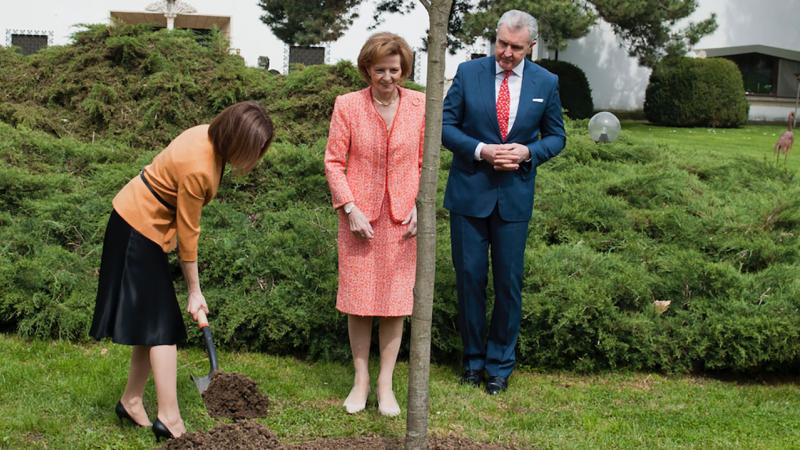  (video) Maia Sandu a plantat un stejar în grădina Palatului Elisabeta