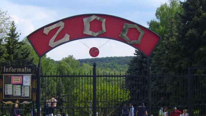  Grădina Zoologică din Chișinău împlinește 45 de ani: Ce surprize îi așteaptă pe vizitatori