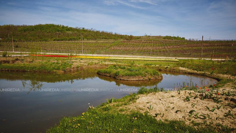  Săptămâna începe cu temperaturi generoase: Vezi prognoza meteo