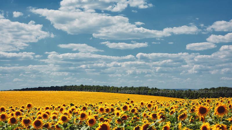  Vreme caniculară pentru astăzi: Câte grade vor fi