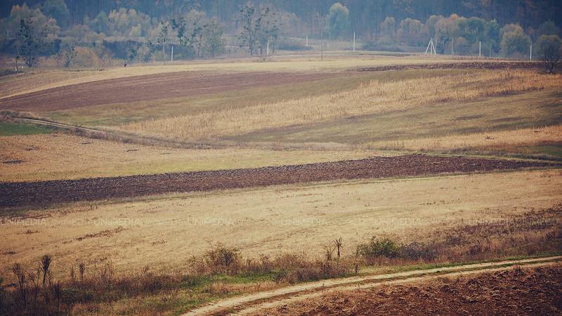  Vreme uscată și destul de caldă: Câte grade promit meteorologii pentru astăzi