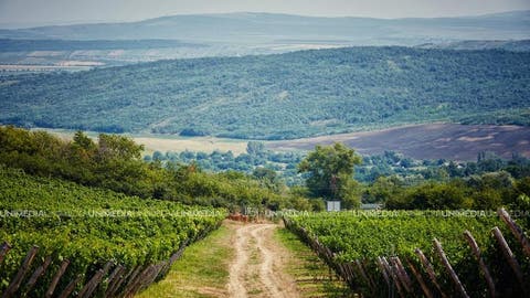  Vreme de vară, la final de septembrie și vești proaste pentru agricultori: Ce temperaturi vom avea astăzi