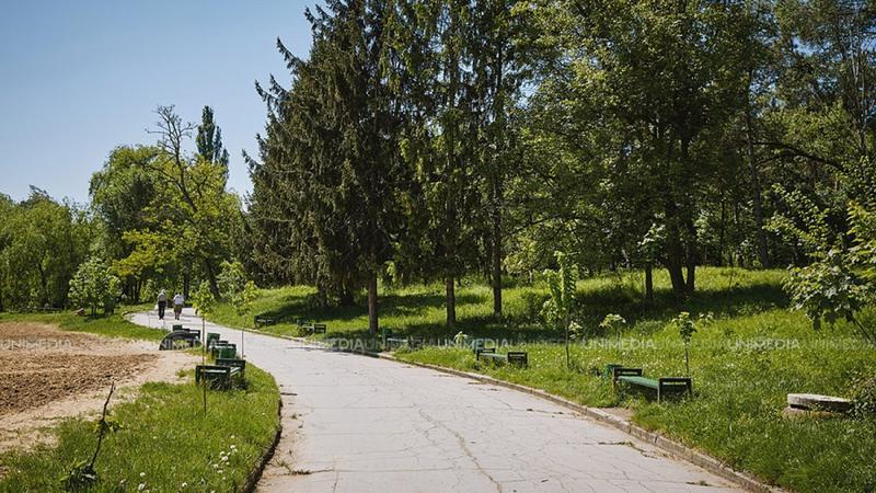  O zi de Duminică cu soare și temperaturi plăcute: Vezi cum v-a fi vremea astăzi în Moldova