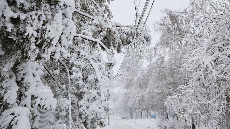  Sudul țării, în beznă din cauza viscolului: 59 de localițăți au rămas fără lumină după vântul puternic și ninsoarea de aseară