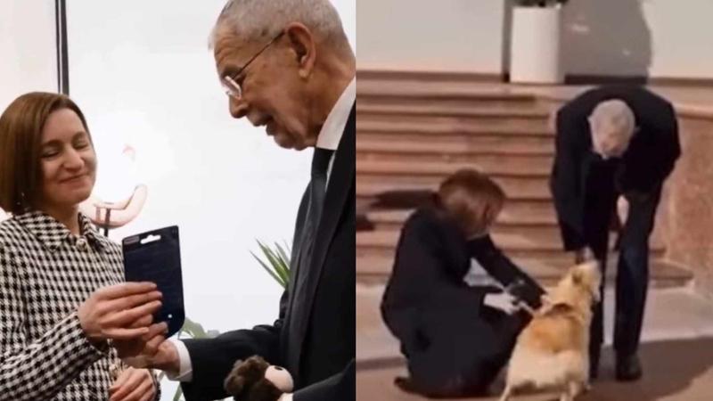 (VIDEO) Cu mâna bandajată, preşedintele austriac i-a dăruit o jucărie Maiei Sandu pentru Codruț, care l-a muşcat