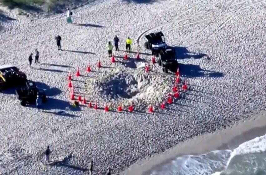  O fetiţă de cinci ani a murit, după ce a fost îngropată în nisip pe o plajă din Florida