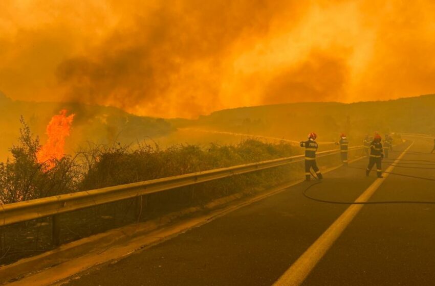  Nivel de alertă ridicat în Grecia. 71 de incendii de vegetație au izbucnit sâmbătă