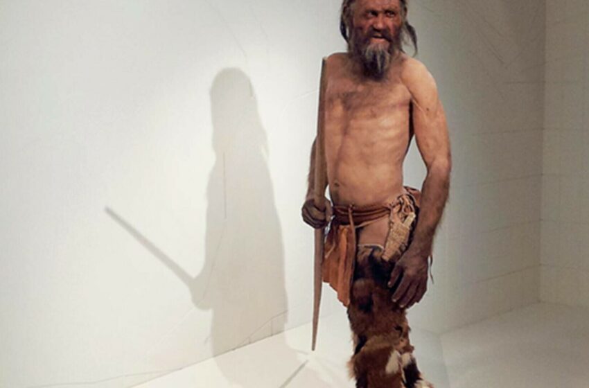  Ötzi Omul de Gheață are cele mai vechi tatuaje din lume. Iată cum au fost făcute acum 5.000 de ani