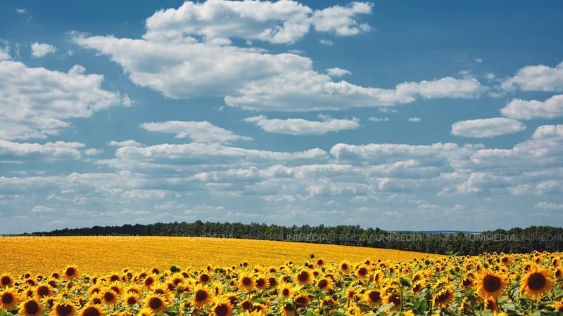 Soare și temperaturi ridicate: Cât de cald va fi azi