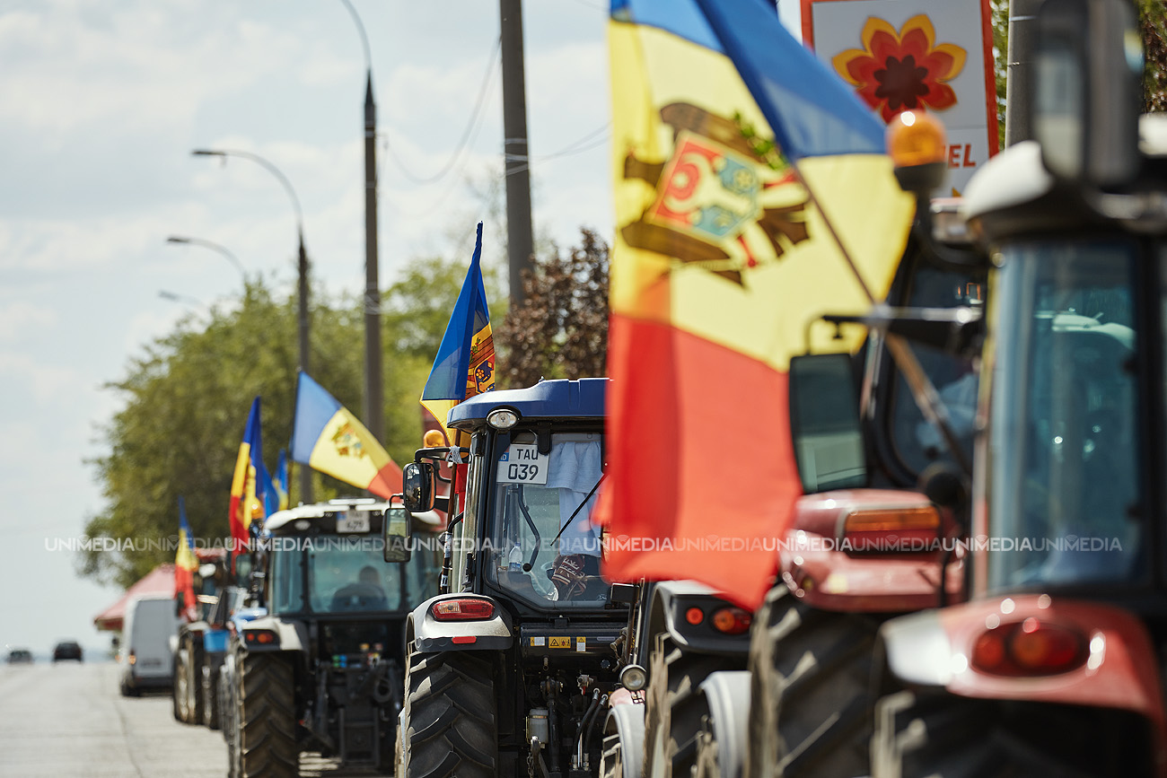 Seceta și datoriile îi scot și pe agricultorii din Cahul cu 