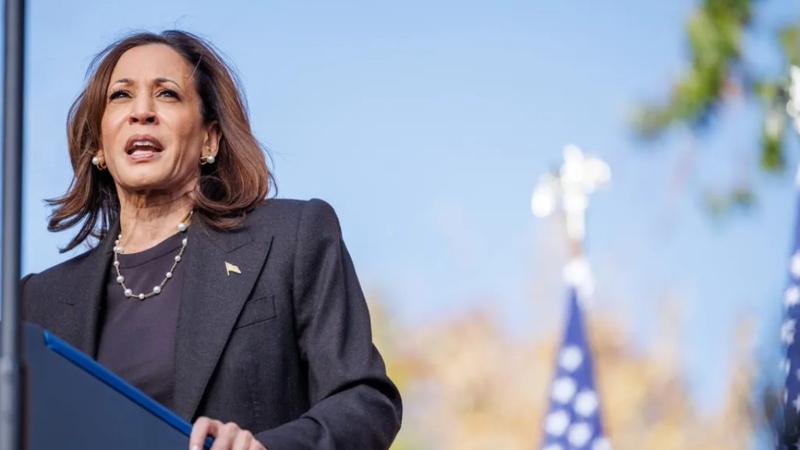 ea5d3b2c 6347 4a66 a154 41864e775774