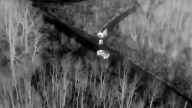 (video) Tranzit prin RM spre UE, ocolind frontierele: Cum 11 taximetriști ar fi ajutat peste 400 de ucraineni să fugă de război, pentru $6000-$10000. Au fost reținuți