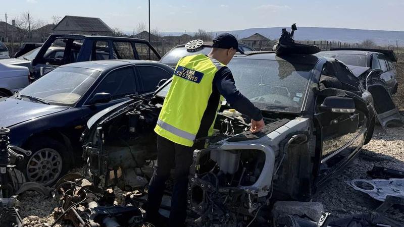 (foto) Descinderi la Orhei: Mașini cu numere străine, făcute bucăți în ateliere clandestine. Vameșii le-au ridicat