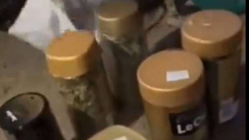 (video) A pus marijuana la borcan: Oamenii legii au ridicat droguri în valoare de 400 000 de lei de la o fermă din Delacău