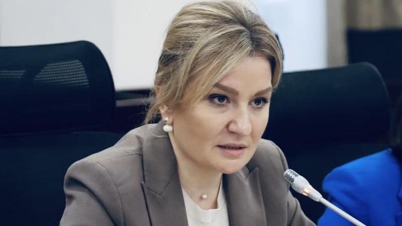 (video) „Nu am fost angajată niciodată.” Șefa Agenției pentru Combaterea Violenței împotriva Femeilor: Nu am lucrat nici în privat