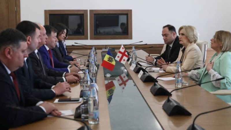 (video) Vettingul, sancțiunile și valorile tradiționale. Dodon, după vizita în Georgia: „Poate tocmai apărarea intereselor naționale e cheia dezvoltării a unei țări”