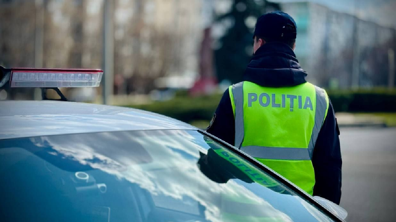 „Supravegheați copiii și evitați deplasările în preajma arborilor”: Recomandările poliției în contextul codului galben de vânt