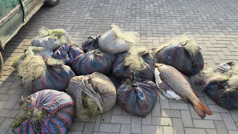 Braconaj în plină prohibiție pe lacul Beleu: Doi bărbați din raionul Cahul au fost prinși cu 75 de pești și 12 plase. Prejudiciul, estimat la 149 mii de lei