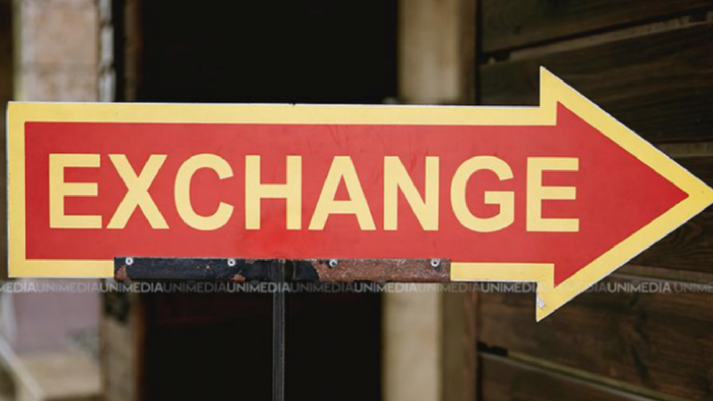 Euro și Dolarul se mențin la același nivel: Ce curs a stabilit BNM la început de săptămână