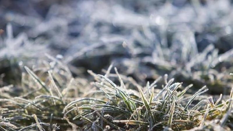 Meteorologii au emis un nou cod galben de înghețuri în Moldova: Ce temperaturi ne așteaptă