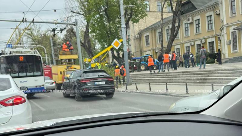 (foto/video) Porțiunea din centrul capitalei unde a căzut o creangă peste un troleibuz, deblocată. Primăria: „Nicio persoană nu a avut de suferit”