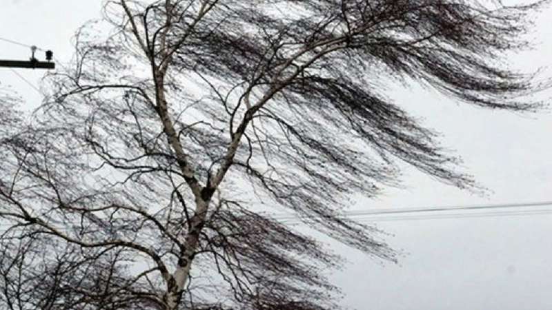 „Evitați deplasările și nu atingeți cablurile căzute la sol”: IGSU, cu recomandări, în contextul codului portocaliu de vânt