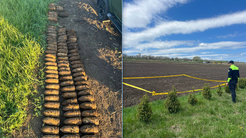 Descoperire periculoasă la Dănceni: 91 de obuze din al Doilea Război Mondial, ridicate de geniști