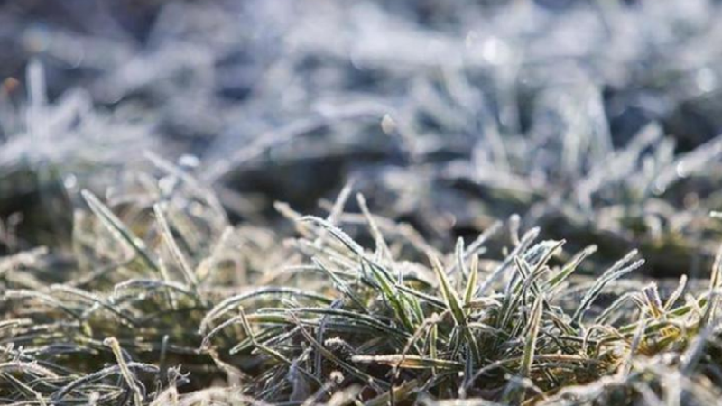 După rafalele de vânt vine înghețul: Meteorologii au emis un nou Cod Galben de îngheț. Când intră în vigoare alerta