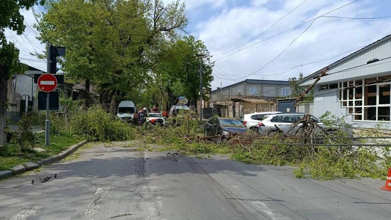 (foto) Vântul puternic face ravagii în toată țara: Copacii doborâți au blocat parțial unele drumuri. Evitați în aceste clipe strada M. Kogălniceanu din capitală